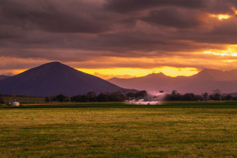 fassifern-guardian-and-tribune-header.jpg