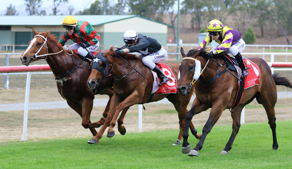 kilcoy-races-photo.jpg